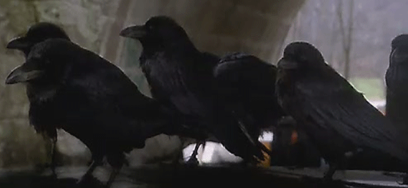 kaw movie poster kaw movie poster